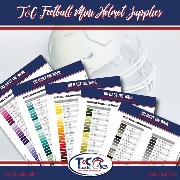 T&C Sports Speed Flex Style Mini Football Helmet in the color of your choice
